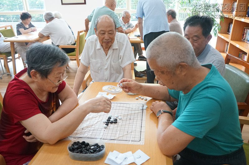 香港白小组资料大全